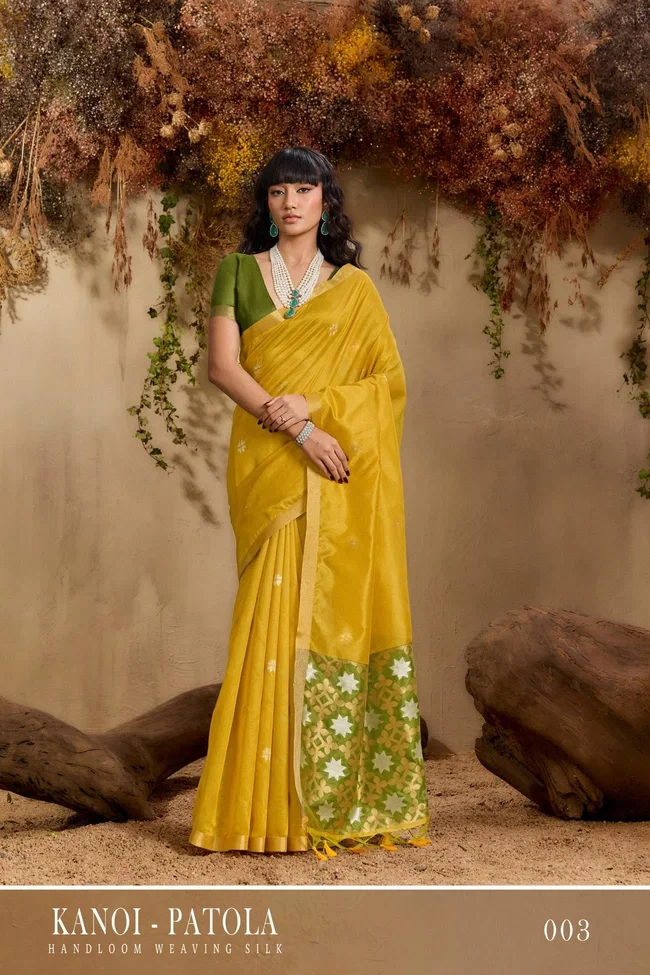 Launching Rajtex Kanoi Patola Tussar Silk Handloom Weaving Saree Wholesale 2026
