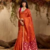 Launching Rajtex Kanoi Patola Tussar Silk Handloom Weaving Saree Wholesale 2026