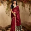 Launching Rajtex Kanoi Patola Tussar Silk Handloom Weaving Saree Wholesale 2026
