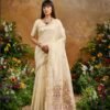 Rajtex Kanoi Vantara Fashionable Handloom Weaving Silk Saree Collection Wholesale