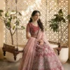Latest Alizeh Shades 1072 Heavy Butterfly Net Lehenga Choli Wholesale 2026