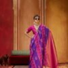 Stylish Rajtex Kirtan Patola Pure Silk Handloom Weaving Saree Wholesale 2026