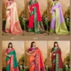 Buy Rajtex Karnation Handloom Weaving Silk Saree Wholesale 2026