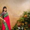 Buy Rajtex Karnation Handloom Weaving Silk Saree Wholesale 2026