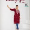 Blue Hills College Girl Vol 5 Rayon Embroidery Casual Wear Kurti Collection Wholesale