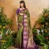 Launching Rajtex Solaris Handloom Weaving paper Silk Saree Collection Wholesale 2026