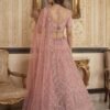 Stylish Anjani 2965 Detailed Handwork Peacock in Motif Party wear Lehenag Choli Collection Wholesale 2026