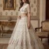 Stylish Anjani 2965 Detailed Handwork Peacock in Motif Party wear Lehenag Choli Collection Wholesale 2026