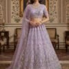 Stylish Anjani 2965 Detailed Handwork Peacock in Motif Party wear Lehenag Choli Collection Wholesale 2026