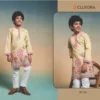 Clleora Tradi Kidz Viscose Silk Thread Work Kurta And Pant Collection Wholesale