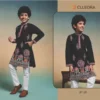 Clleora Tradi Kidz Viscose Silk Thread Work Kurta And Pant Collection Wholesale
