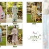 Launching Shree Ombre Lawn Collection 25 Vol 6 Nx Chiffon Dupatta Pakistani Salwar Kameez Wholesale 2026