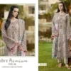 Beautiful Shree Ombre Premium Vol 6 Chiffon Dupatta Pakistani Salwar Kameez Wholesale 2026