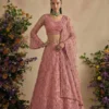 Alizeh 1082 Colours Butterfly Net Designer Lehenga Choli Collection Wholesale