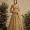 Alizeh 1082 Colours Butterfly Net Designer Lehenga Choli Collection Wholesale