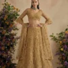 Alizeh 1082 Colours Butterfly Net Designer Lehenga Choli Collection Wholesale