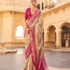 Beautiful Kreshva Mantra Patola With Sambalpuri Pallu With Aqua Saree Collection Wholesale 2026