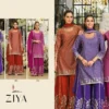 Launching Eba Ziya Chinon With Embroidery Work Designer Top Bottom And Dupatta Wholesale 2026