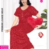 Latest Dnp Olga Plus vol 4 Alphine Nighty Collection Wholesale 2026