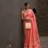 Latest Rajtex Kosmos Silk Nylon Chinnon Silk Saree Collection Wholesale 2026