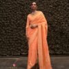 Latest Rajtex Kosmos Silk Nylon Chinnon Silk Saree Collection Wholesale 2026