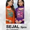 Dnp Sejal Mal Chanderi Top Bottom With Dupatta Set Wholesale