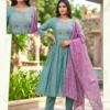 Latest Dnp Karina Vertican Kurti Pant And Dupatta Wholesale 2026