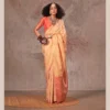 Latest Rajtex Kirtan Two Tone Silk Handloom Weaving Saree Collection Wholesale 2026