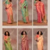 Latest Rajtex Kirtan Two Tone Silk Handloom Weaving Saree Collection Wholesale 2026
