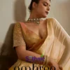 Sethnic Ombrea Soft Glam Chiffon Zari Woven Worked Saree Collection Wholesale