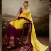 Beautiful Sethnic Ombrea Soft Glam Chiffon Zari Woven Worked Saree Collection Wholesale 2026