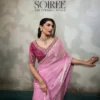 Sethnic Soiree The Evening Affair Velvet Satin Designer Saree Collection Wholesale