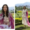 Beautiful Deepsy Elaf Signature Chiffon Dupatta Cotton Embroidered Salwar Kameez Wholesale 2026