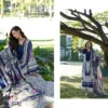 Beautiful Deepsy Elaf Signature Chiffon Dupatta Cotton Embroidered Salwar Kameez Wholesale 2026