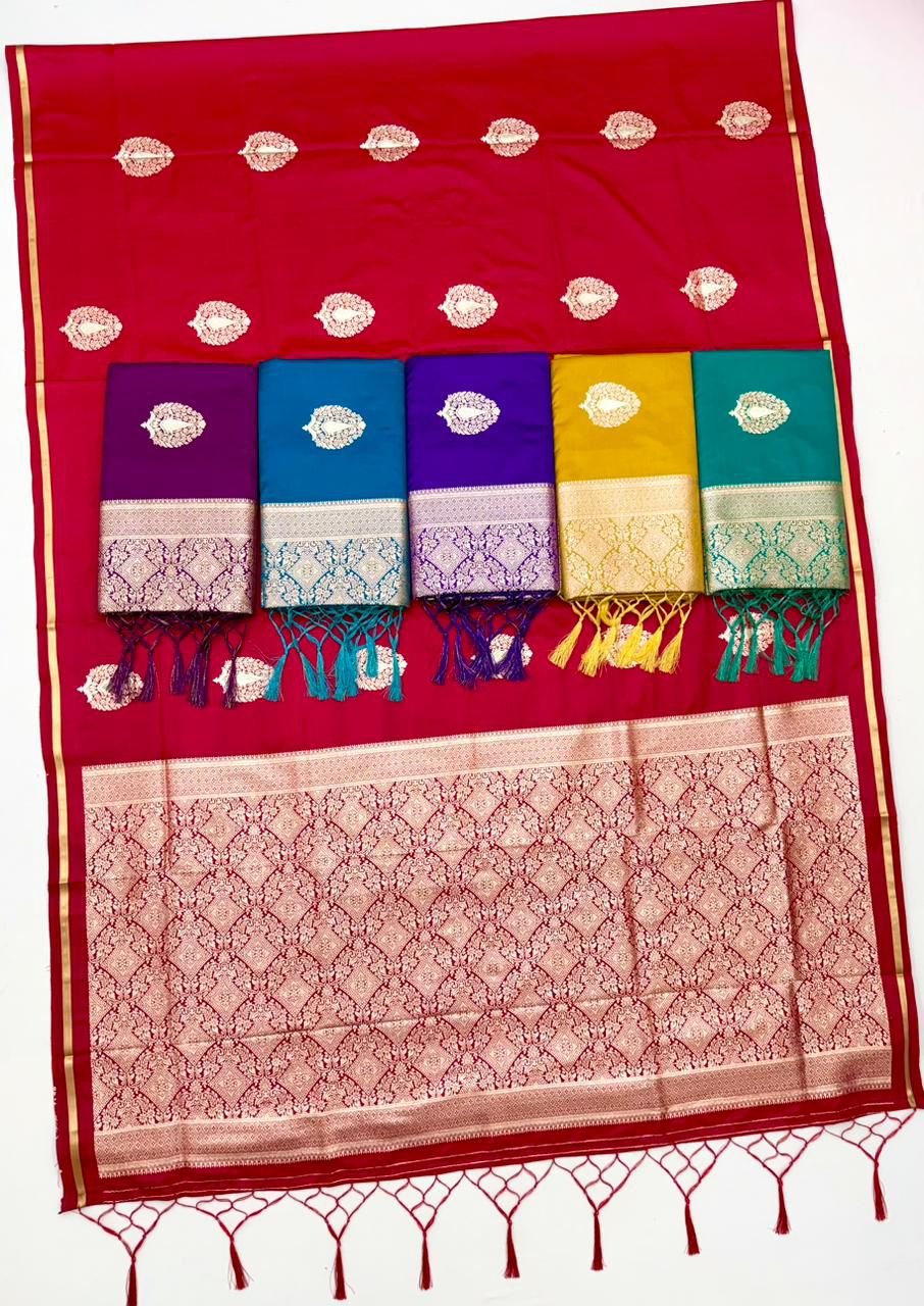 Latest Rajtex Kanthkala Raasa Pure Satin Handloom Weaving Saree Collection Wholesale 2026