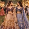 Mrudangi Rosy Vol 2 Premium Net Handworked Designer Lehenga Choli Collection Wholesale