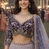 Launching Mrudangi Rosy Vol 2 Premium Net Handworked Designer Lehenga Choli Collection Wholesale 2026
