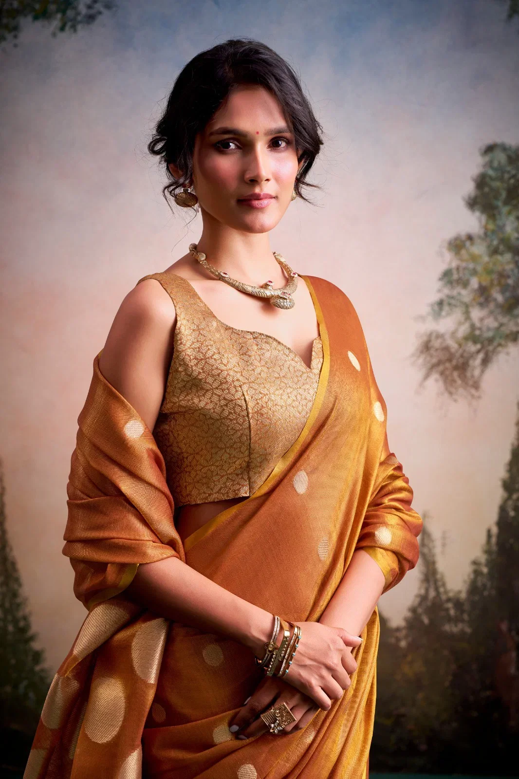 Stylish Rajpath Anvika Dollar Tissue Silk Party Wear Saree Collection Wholesale 2026