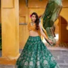 Launching WMN 1010 Vaishali Silk Lehenga Choli Wholesale in Surat 2026