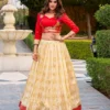 WMN 1130 Jacquard Silk Paithani Lehenga Coli Wholesale Surat