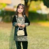 Baby 236 Viscose Velvet Embroidery Dress Kid Wear Wholesale