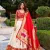 WMN 2022 Agneya Paithani Silk Weaving Lehenga Choli Wholesale