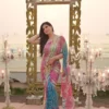 WMS Soft Tabby Miroor Work Bollywood Saree Wholesale Surat