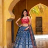 Launching WMN 1010 Vaishali Silk Lehenga Choli Wholesale in Surat 2026