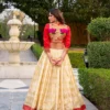 Buy WMN 1130 Jacquard Silk Paithani Lehenga Coli Wholesale Surat 2026