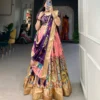 Launching WMN 1017 Dola Silk Weaving Lehenga Coli Wholesale 2026