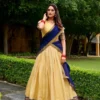 Stylish WMN 2019 Pure Chanderi Weaving Lehenga Choli Wholesale 2026