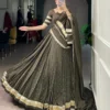 Launching WMN 1664 Chanderi Sakhi Weaving Lehenga Choli Wholesale 2026