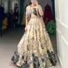 Beautiful WMN 1129 Tussar Silk Printed Party Wear Lehenga Top Wholesale 2026