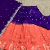 Vally 109 Viscose Dola Zari Weaving South Style Lehenga Saree Wholesale Surat
